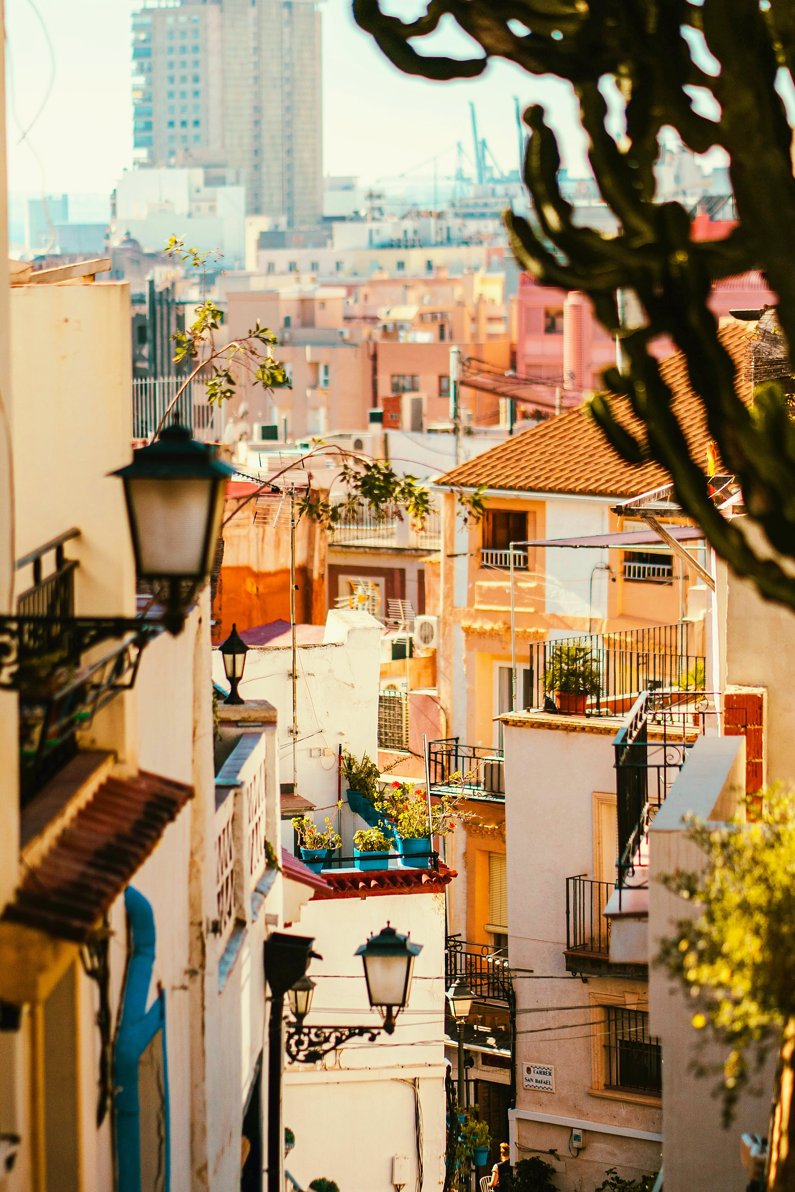 Santa Cruz Quarter, Alicante